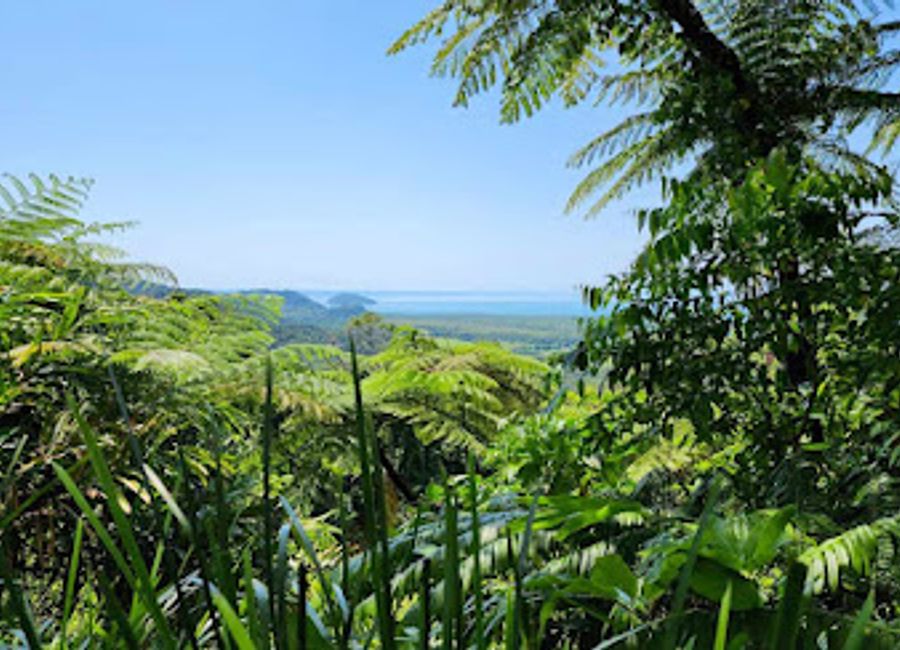 Discover the breathtaking beauty of the Daintree Coast, where ancient rainforests and the Coral Sea create a unique paradise for nature lovers and adventure seekers.