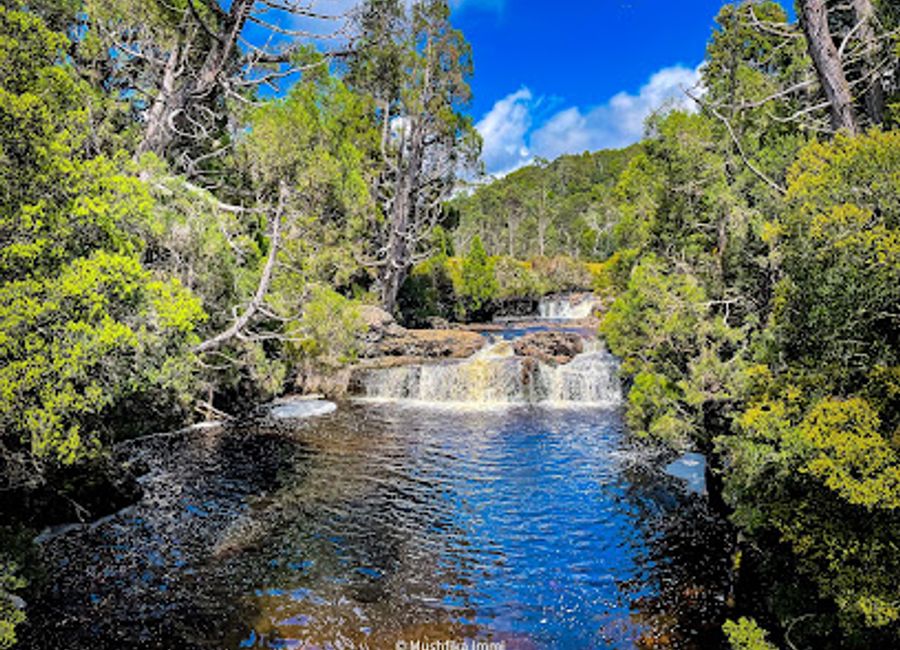 Experience the breathtaking Enchanted Walk, a serene hiking trail in Cradle Mountain, Tasmania, surrounded by lush landscapes and stunning natural beauty.