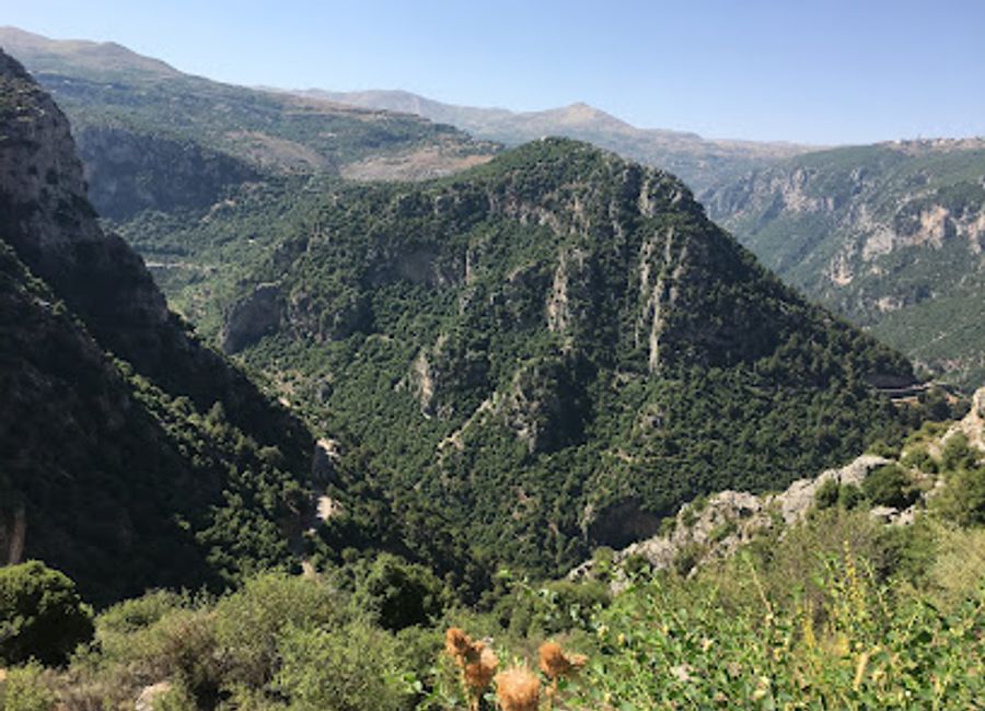 Experience the breathtaking beauty of Horsh Ehden, a national reserve filled with lush landscapes, rich wildlife, and endless outdoor adventures in Lebanon.