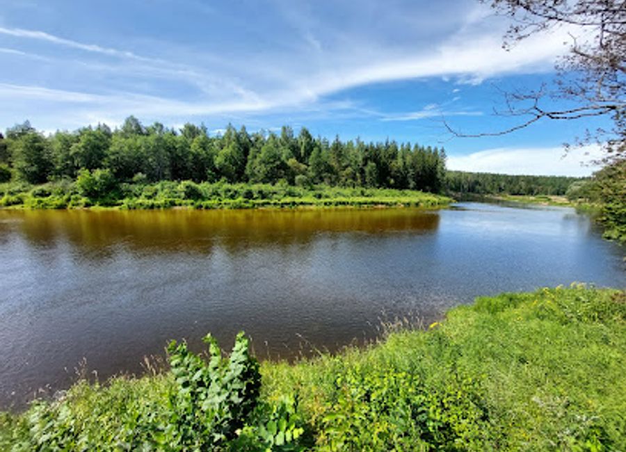Discover the breathtaking beauty of Cirulisi Nature Trails in Latvia, a perfect destination for nature lovers and adventure seekers alike.