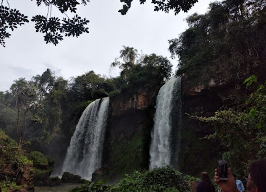 Discover the natural beauty and indigenous culture of Argentina's Misiones rainforest at Reserva Selva Iryapú.