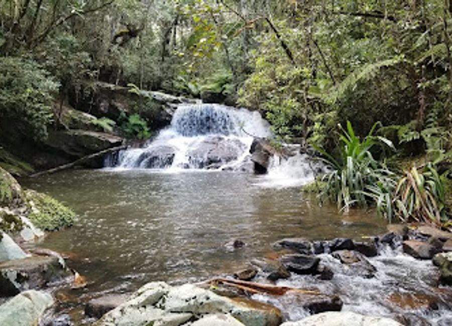 Explore the breathtaking Andasibe-Mantadia National Park, a haven for wildlife lovers and nature enthusiasts in Madagascar, filled with lush landscapes and unique species.