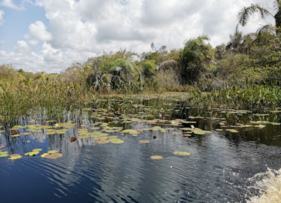 Experience the enchanting Nzulezo Stilt Village in Ghana, a UNESCO site where culture meets the serene beauty of Amansuri Lake.