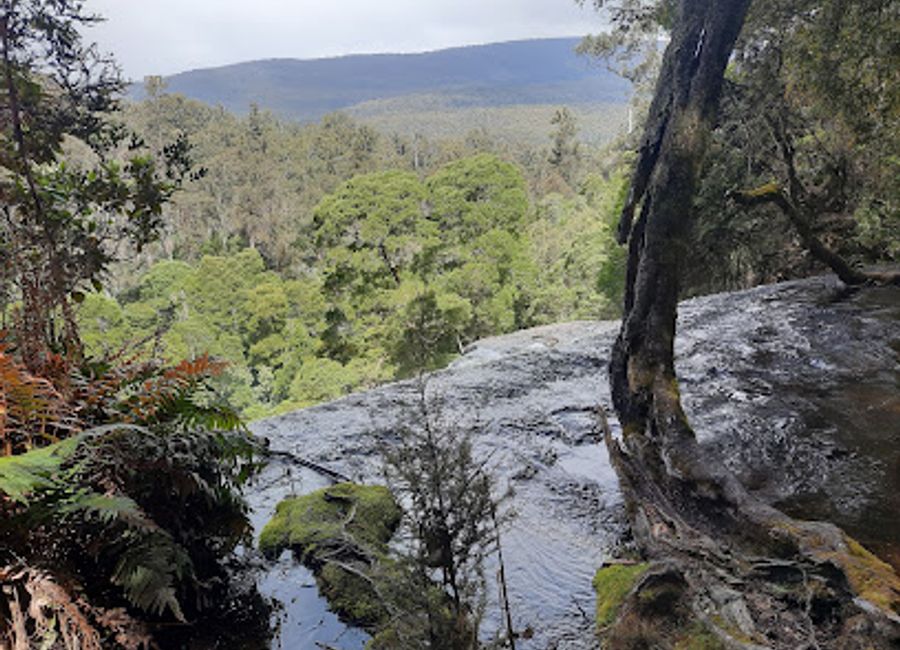 Explore the breathtaking Russell Falls in Mount Field National Park, a natural wonder showcasing cascading waterfalls and lush Tasmanian wilderness.