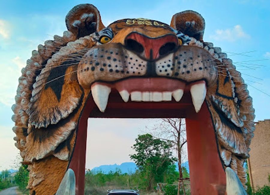 Discover the enchanting Tiger Temple in Kanchanaburi, where majestic tigers roam amid serene landscapes, offering unforgettable wildlife encounters.