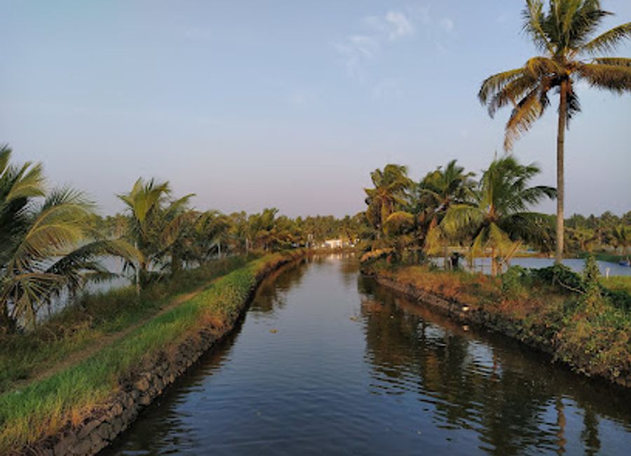 Discover the tranquil backwaters and vibrant culture of The Living Islands of Kadamakudy, a perfect retreat for nature lovers and adventure seekers alike.