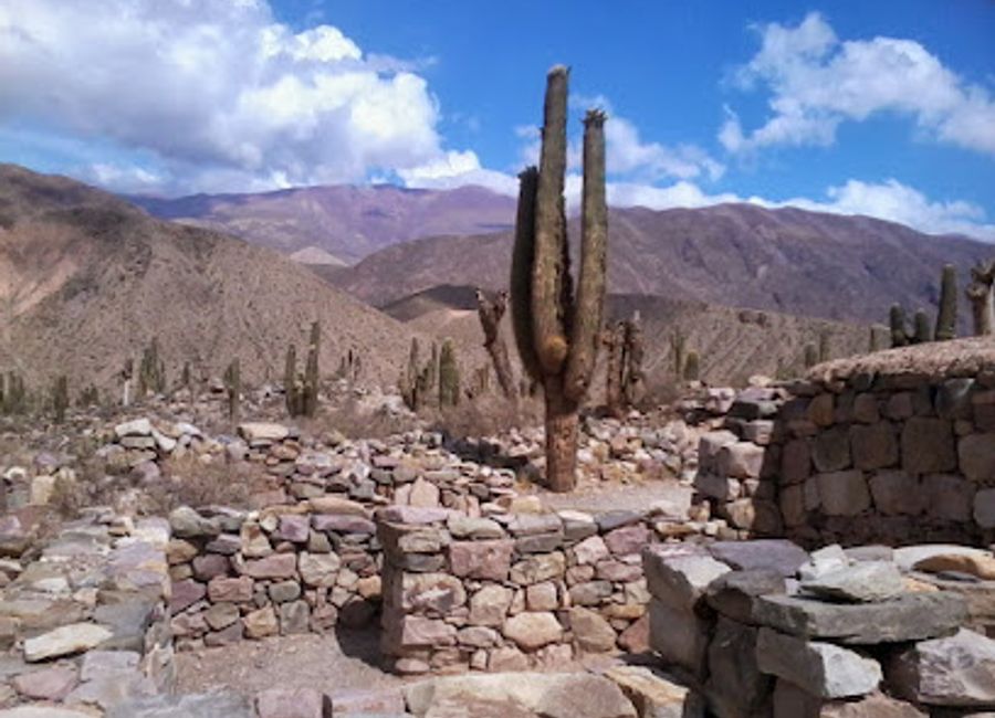 Discover Andean flora and stunning mountain views at Tilcara's serene Altura Botanical Garden, a peaceful escape into nature's beauty.