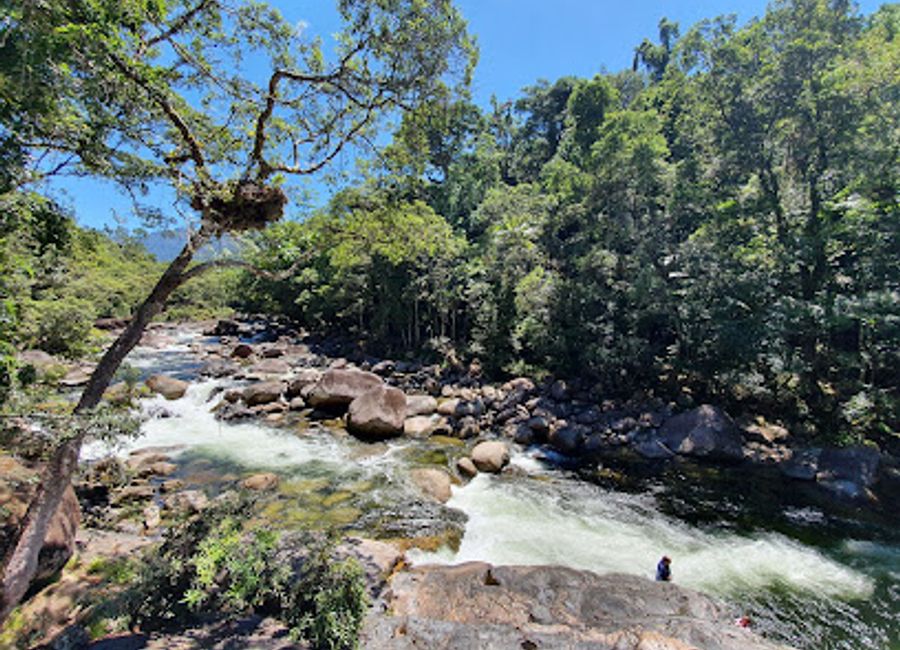 Experience the stunning beauty and rich cultural heritage of Mossman Gorge, a must-visit scenic spot in Queensland's Daintree Rainforest.