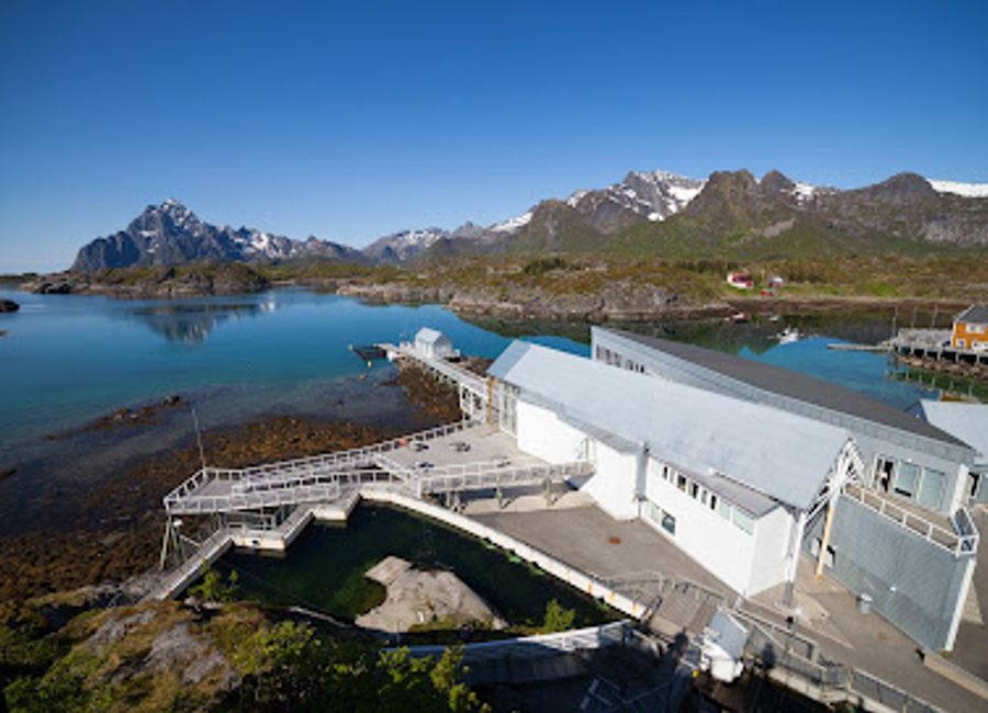 Experience the magic of marine life at Lofotakvariet, the Lofoten Aquarium, where adventure meets education in stunning surroundings.