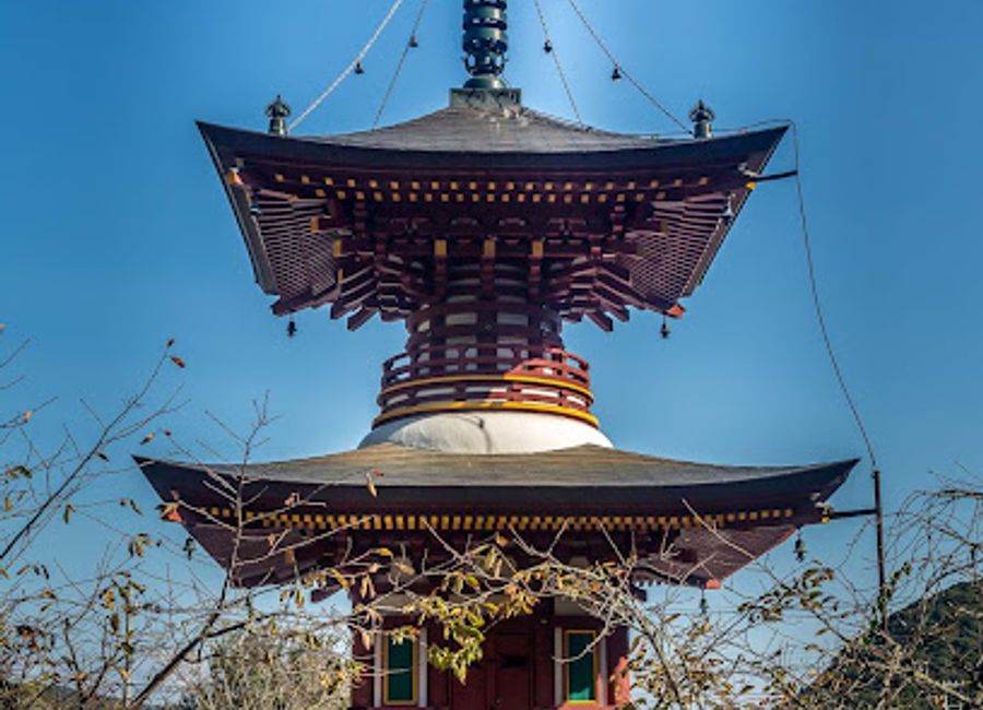 Discover the tranquil beauty and rich heritage of Shōryūji Temple, a must-visit Buddhist landmark in the heart of Tosa, Kochi.