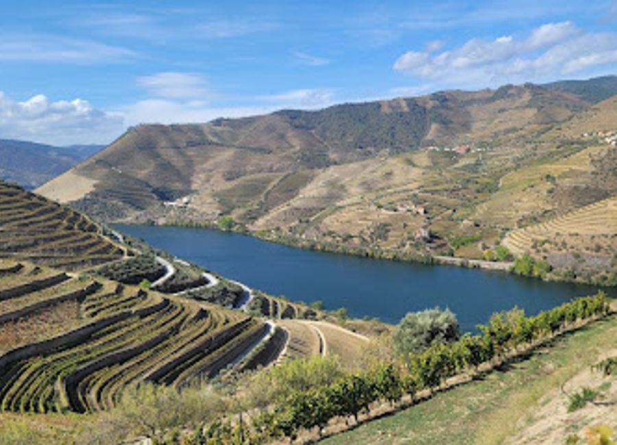 Explore the stunning Douro Valley with Douro Promenade's exceptional wine tours, where breathtaking views and exquisite wines await.