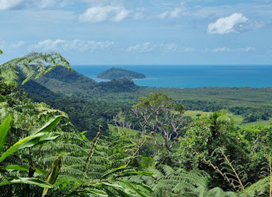 Discover the enchanting beauty and rich biodiversity of Daintree National Park, a UNESCO World Heritage site in Queensland, Australia.