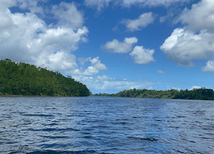Discover the enchanting Daintree River in Queensland, a natural wonder teeming with biodiversity and breathtaking landscapes, perfect for eco-adventures.