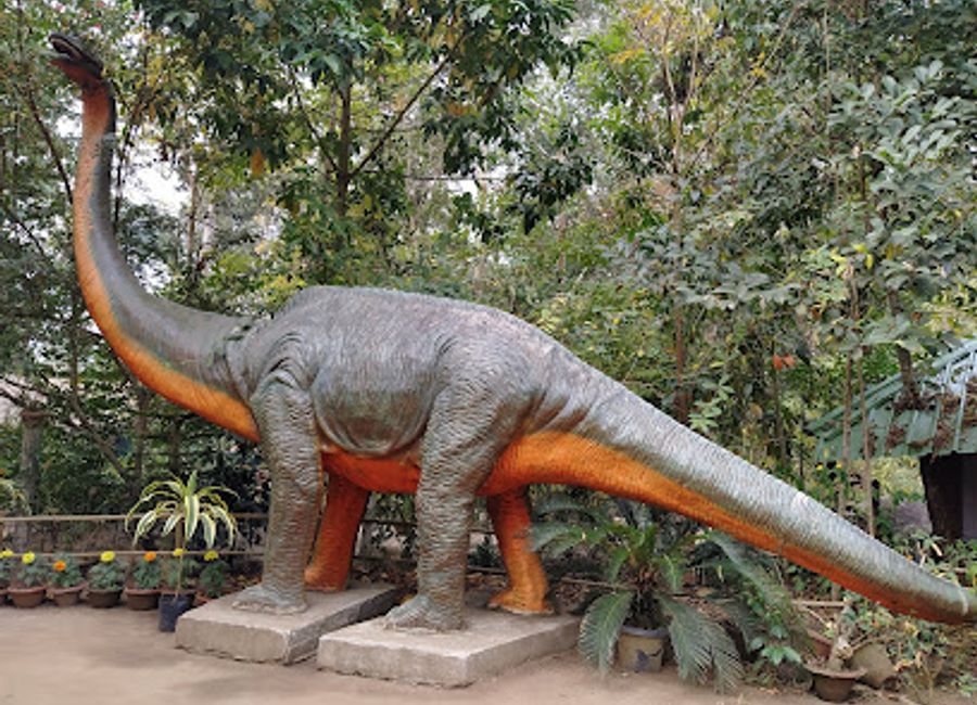 Discover the enchanting beauty of Kaziranga Orchid Park, where nature and culture intertwine in a vibrant display of orchids and local heritage.