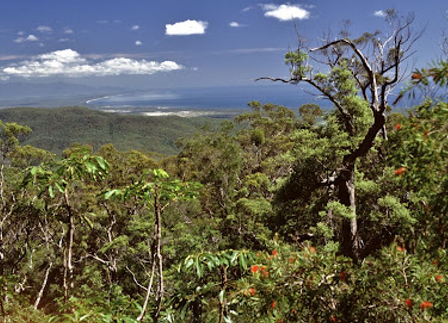 Experience the stunning vistas and tranquil beauty of McClellands Lookout, a must-see scenic spot in Queensland offering breathtaking ocean views.