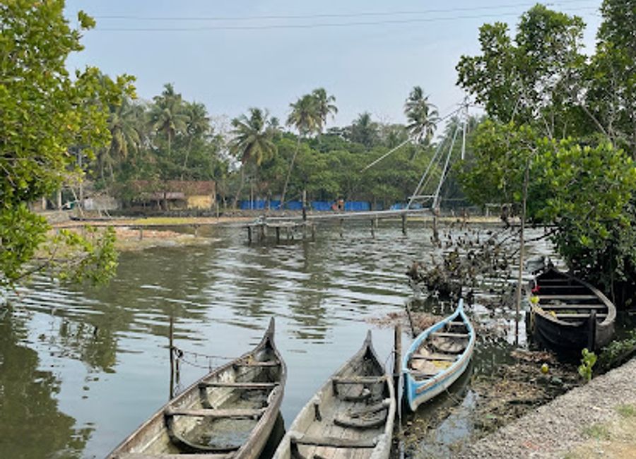 Discover breathtaking views and serene backwaters at Kumbalangi View Point, a hidden gem in Kerala offering tranquility and local culture.