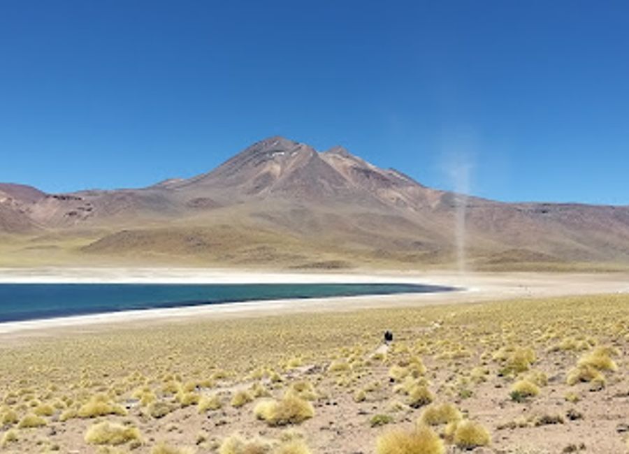 Discover the stunning landscapes and vibrant wildlife of Reserva Nacional Los Flamencos, a must-visit national reserve in Chile's Atacama Desert.