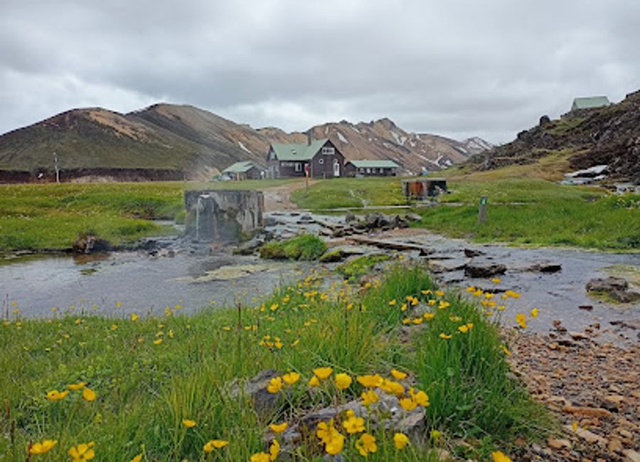 Discover the stunning landscapes and rich biodiversity of Fjallabak Nature Reserve, a true Icelandic treasure for nature lovers and adventurers.