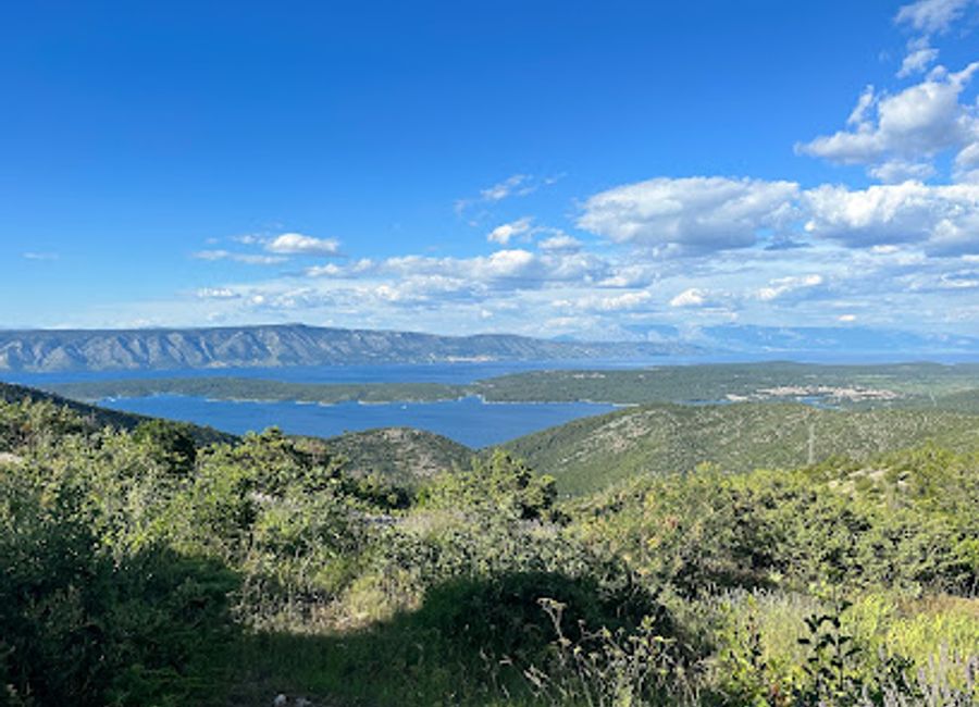 Discover Hvar's fragrant heritage: Explore the lavender fields around Brusje for stunning views and aromatic bliss during blooming season.