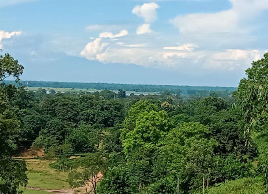 Experience the serene beauty of Bhalukjuri Waterfall, a hidden gem in Assam, perfect for nature lovers and adventure seekers.