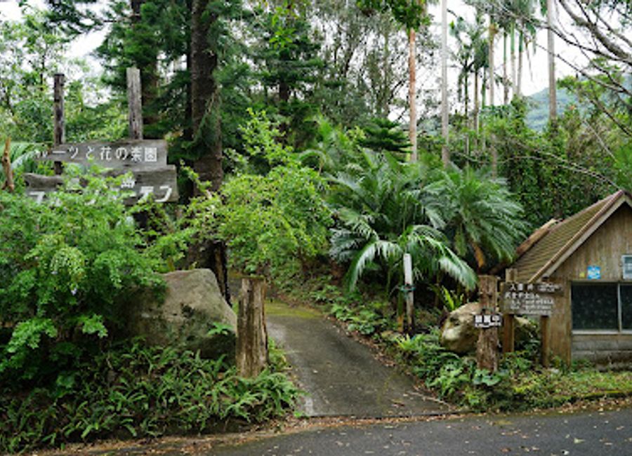 Explore the lush beauty of Yakushima Fruit Garden, a tropical paradise filled with diverse fruits and stunning landscapes perfect for all ages.