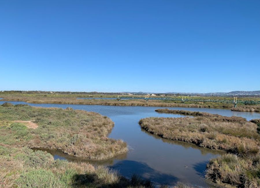 Experience the enchanting landscapes and rich biodiversity of Ria Formosa Nature Park, a natural wonder in Portugal's Algarve region.