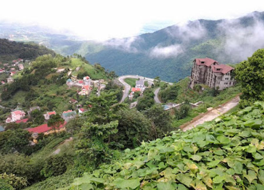 Explore the lush beauty and diverse wildlife of Tam Dao National Park, a serene retreat in Vietnam's northern highlands.