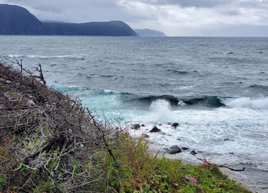 Explore a historic lighthouse in Gros Morne National Park with stunning coastal views, hiking trails, and a glimpse into Newfoundland's maritime past.