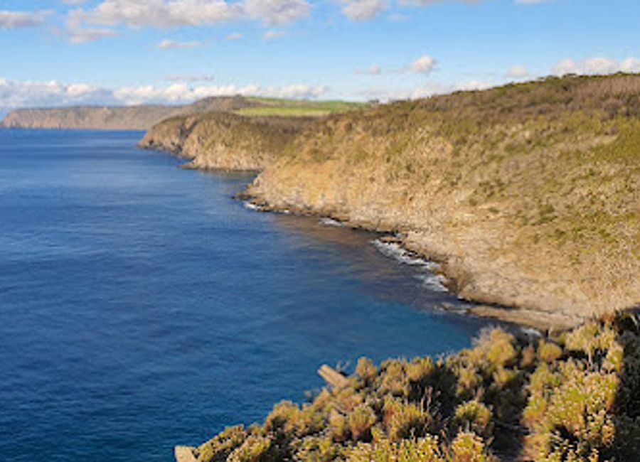 Explore the pristine landscapes and diverse wildlife of Ravine des Casoars Wilderness Protection Area, a hidden gem in South Australia.