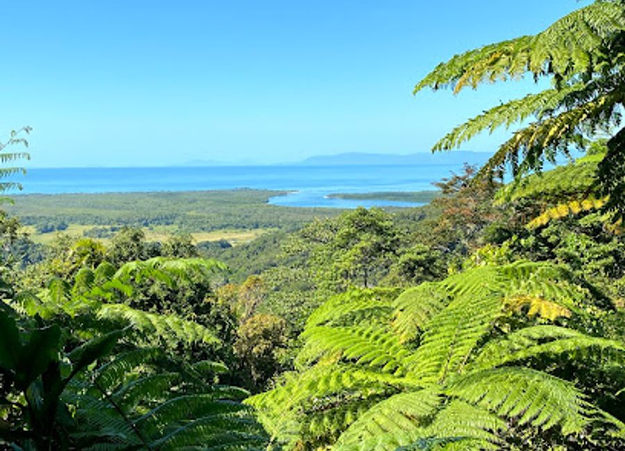 Experience the breathtaking fusion of rainforest and reef at Cape Tribulation, a UNESCO World Heritage site in Queensland, Australia.