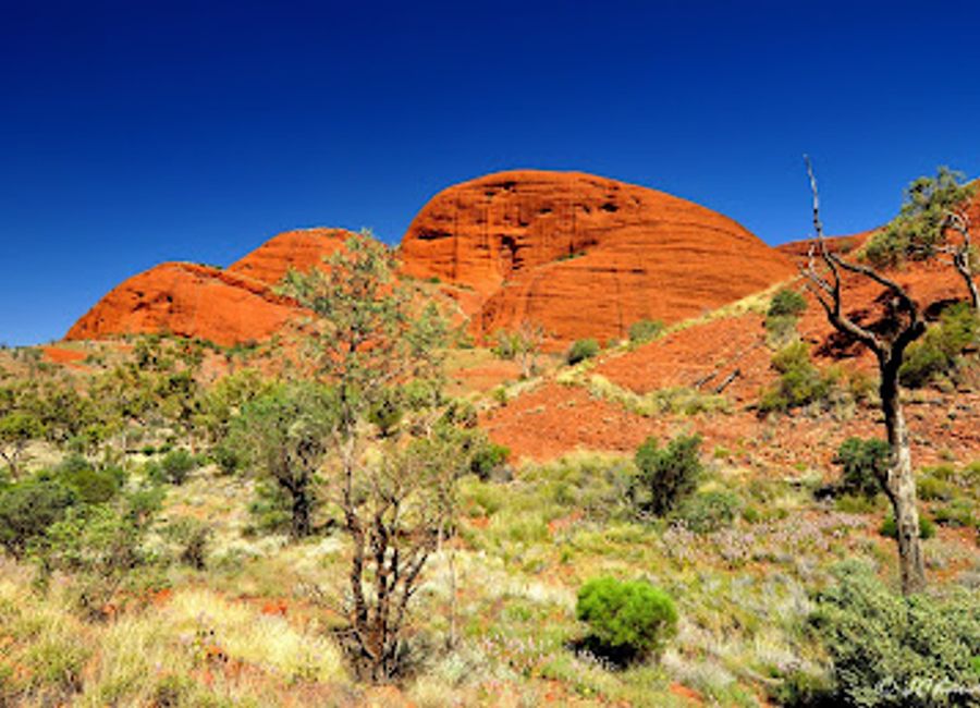 Discover the breathtaking landscapes and rich heritage of Kata Tjuta - Valley of the Winds, a must-visit hiking destination in Northern Territory, Australia.