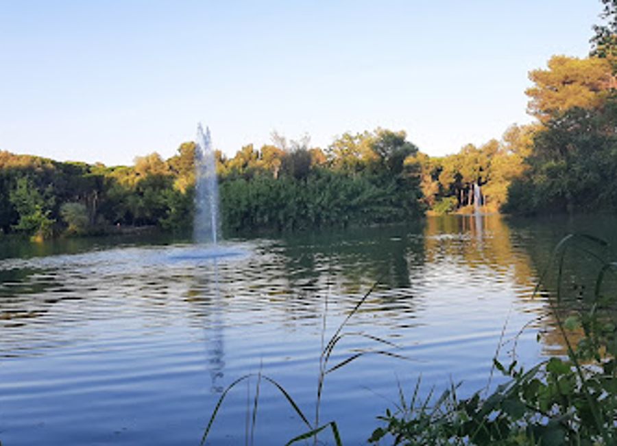 Explore the tranquil landscapes and diverse wildlife at Pineta Dannunziana, a premier nature reserve in Pescara, Italy.