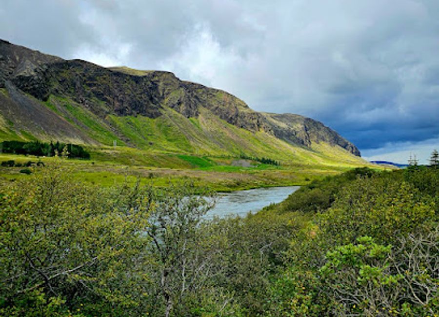 Explore the stunning hiking trails of Þrastaskógur, a serene Icelandic paradise blending breathtaking landscapes and rich biodiversity.