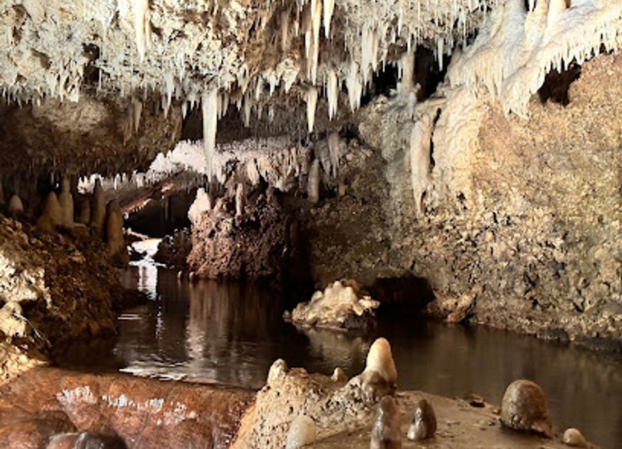 Discover the breathtaking beauty of Harrison's Cave Eco-Adventure Park in Barbados: Explore stunning caverns, enjoy thrilling activities, and immerse yourself in island culture.