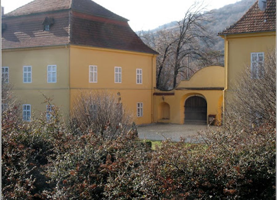 Explore the enchanting Tokaj-Hétszőlő Vineyard, where exceptional wines meet breathtaking landscapes in Hungary's renowned Tokaj wine region.