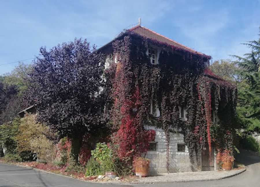 Explore the exquisite wines and breathtaking vineyards at Hímesudvar Winery, a must-visit destination in Tokaj, Hungary.