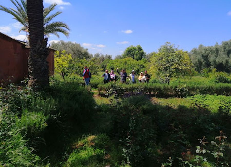 Explore Tnin Ourika, a serene garden oasis in Morocco's Ourika Valley, where vibrant flora meets the tranquility of nature and saffron cultivation.