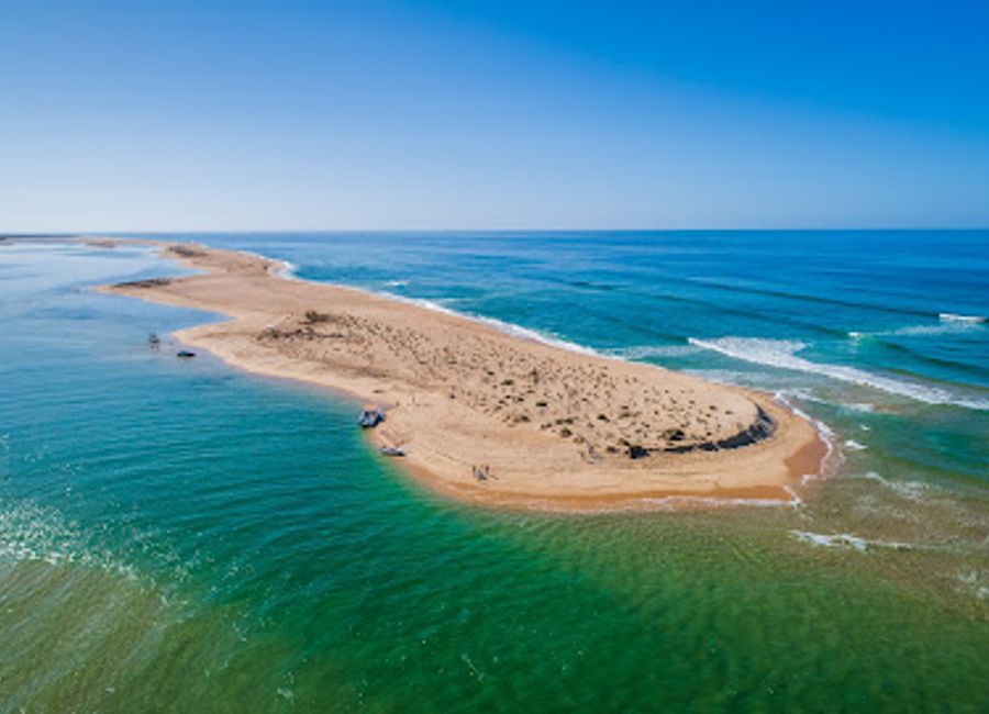 Experience the breathtaking beauty of Ria Formosa with unique boat tours that connect you to nature and local culture.