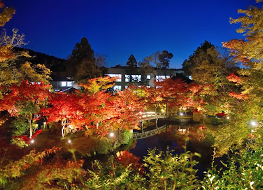 Experience the serene beauty and rich history of Eikan-dō Temple, a must-visit Buddhist sanctuary in Kyoto, Japan, surrounded by stunning gardens.