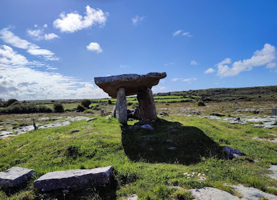 Explore the breathtaking landscapes and rich biodiversity of Burren National Park, a unique natural gem in County Clare, Ireland.