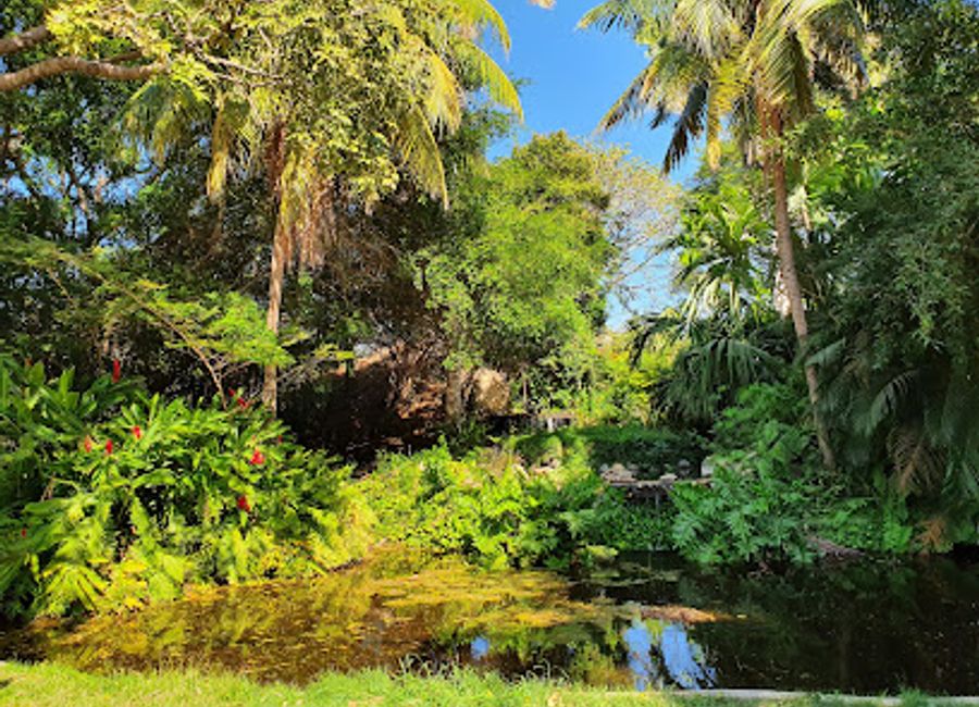 Explore the enchanting Quinta de San Pedro Alejandrino, a historical and botanical haven in Santa Marta, rich with art and Colombian heritage.