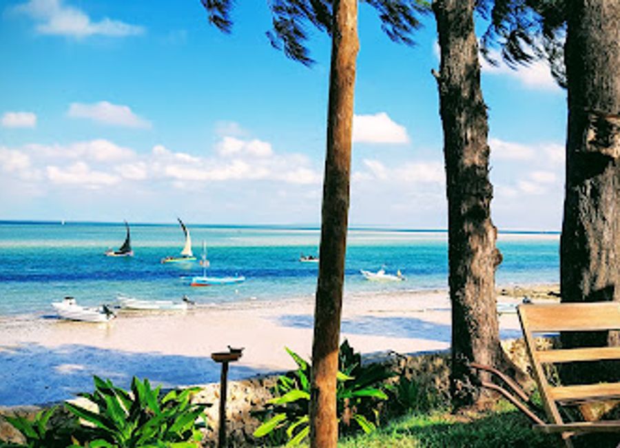 Discover the beauty of Vilankulos with Dolphin Dhow Accommodation and Dhow Safaris, offering amazing ocean adventures and stunning natural scenery.