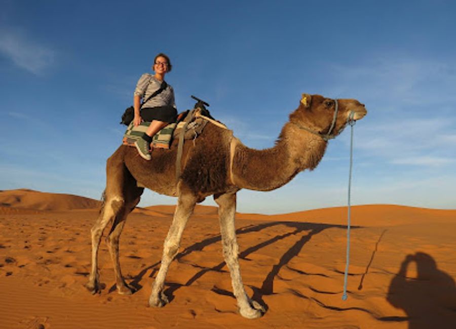 Discover the breathtaking beauty and rich culture of the Sahara Desert in Morocco, where adventure meets tranquility in a majestic landscape.