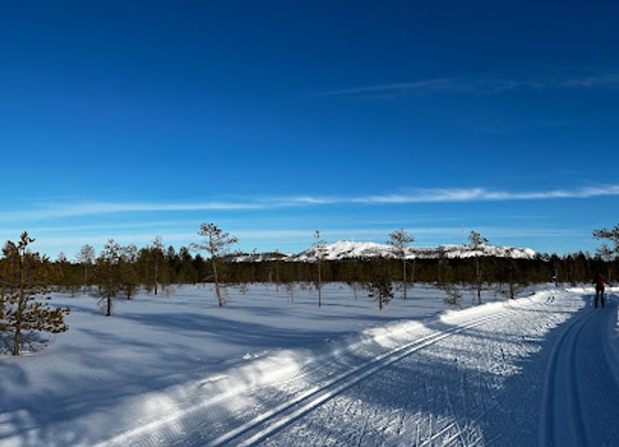 Experience the thrill of winter sports at Ruka Ski Resort, Finland's premier destination for skiing and snowboarding amidst breathtaking natural beauty.