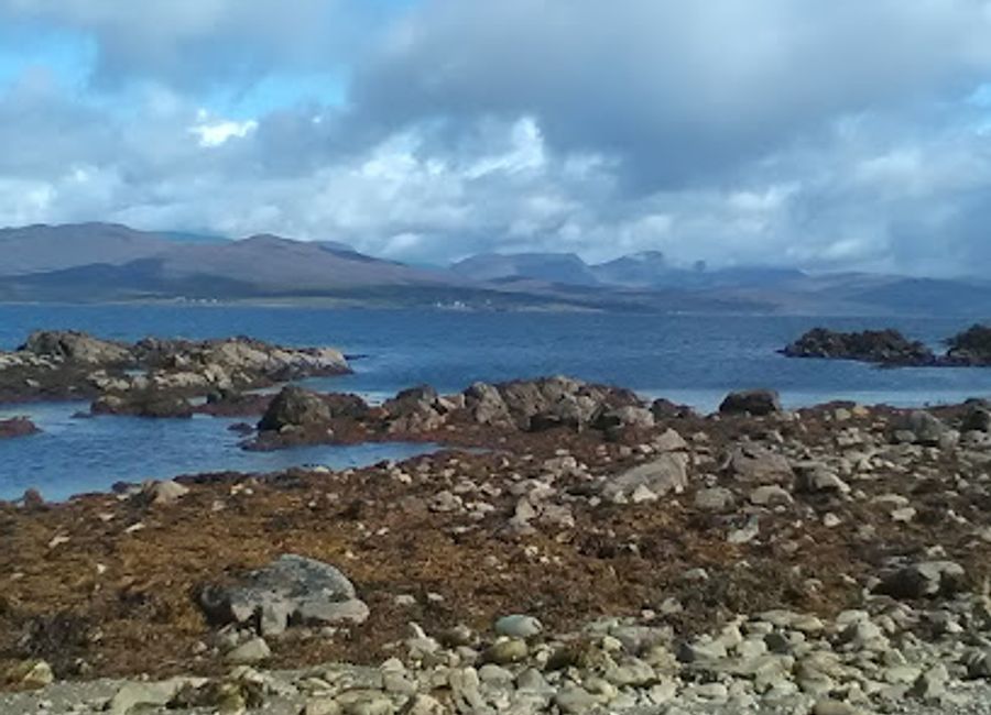 Explore the enchanting blend of art and nature at The Ewe Experience in Glengarriff, Co. Cork, a captivating natural history museum for all ages.