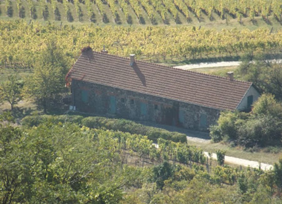Discover the breathtaking views and serene hiking trails of Kopasz Hill in Tokaj, a hidden gem in Hungary's lush landscape.