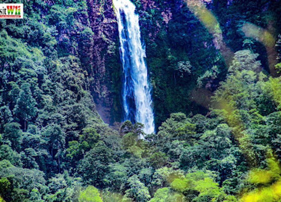 Explore Wli Waterfalls, the stunning natural wonder in Ghana, where adventure meets tranquility in a breathtaking setting.