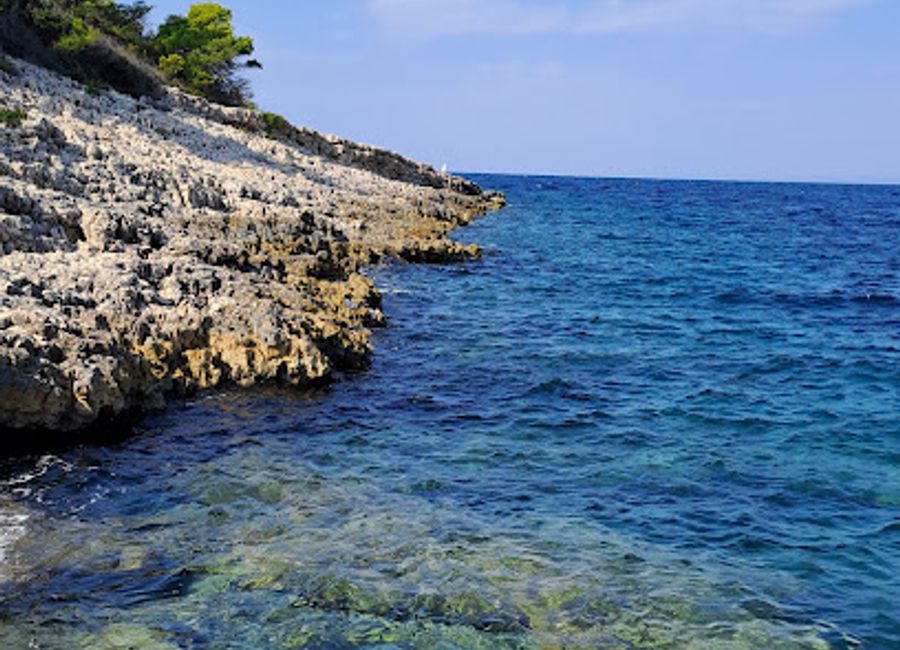 Escape to Floriana Park in Hvar: A serene oasis of natural beauty, perfect for relaxation and scenic views.
