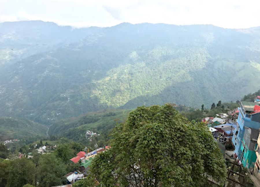 Explore the aromatic world of Darjeeling tea at Nathmull's Tea Shop, where tradition meets flavor in every cup.