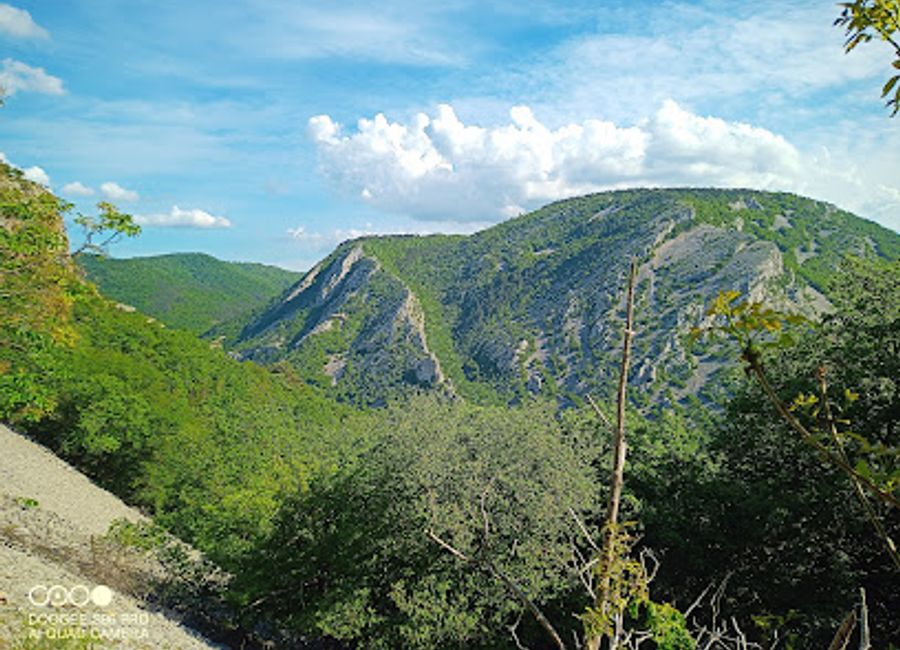 Discover the serene landscapes and rich biodiversity of Val Rosandra Nature Reserve, a must-visit destination for nature lovers in Trieste.